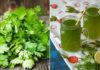 “Amazing benefits of drinking parsley water for your body”