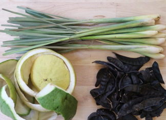 Tips & Tricks: Natural Ingredients for Making Multi-purpose Dishwashing Liquid and Shampoo