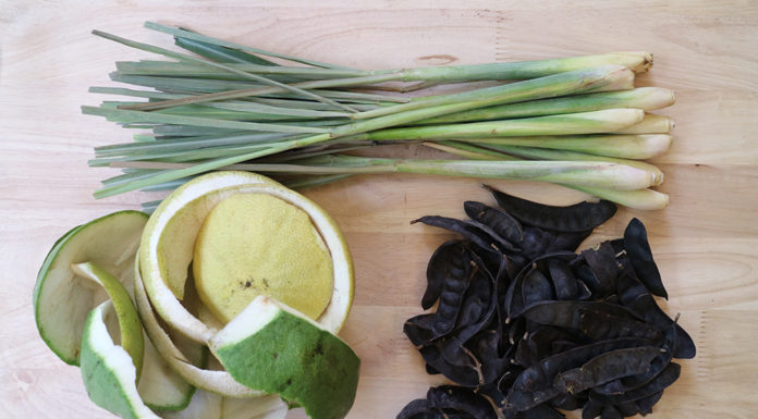 Tips & Tricks: Natural Ingredients for Making Multi-purpose Dishwashing Liquid and Shampoo