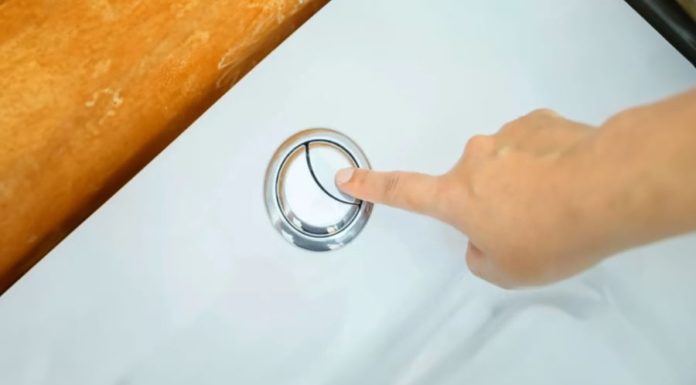 Why are there two flush buttons on a toilet lid? Many people are unaware of the surprising functionality.