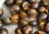 Simple and Delicious Recipe for Boiled Snails – A Must-Try Method