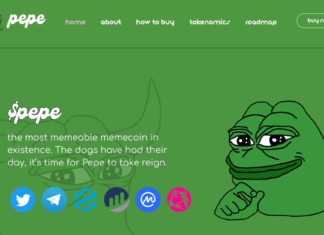 What is PEPE coin? Everything you need to know about PEPE coin that you are looking for.