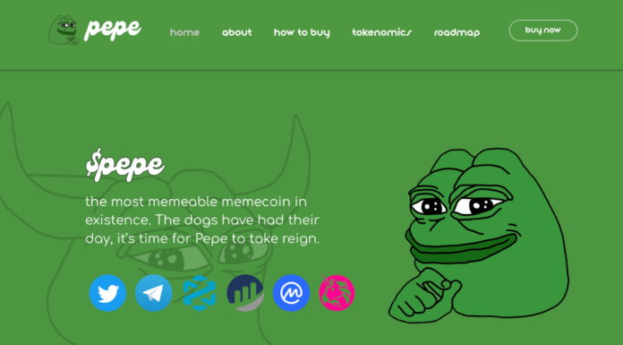What is PEPE coin? Everything you need to know about PEPE coin that you are looking for.