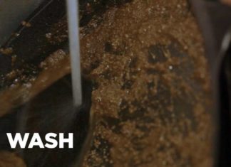 Learn How to Restore and Season Cast Iron Skillet: Easy Ways to Prevent Rust and Non-Stick Coating Loss