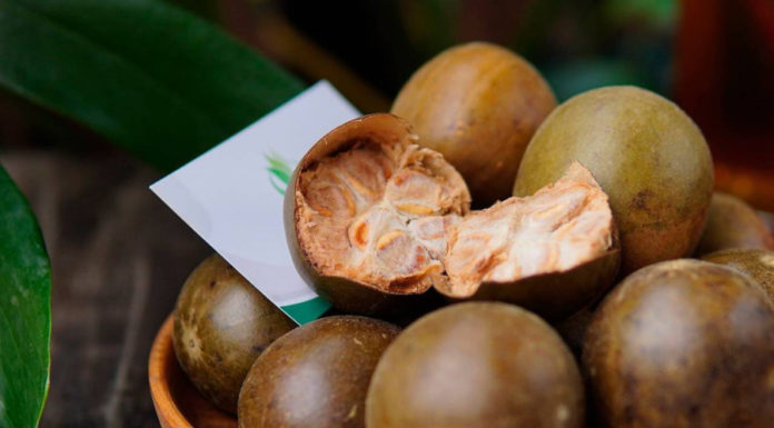 The ultimate natural “lung booster”: Eat regularly for phlegm digestion, cough reduction, and increased efficacy in winter.