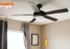 Choosing the right fan for summer: floor fan or ceiling fan? One detail that will make the decision.