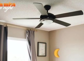 Choosing the right fan for summer: floor fan or ceiling fan? One detail that will make the decision.