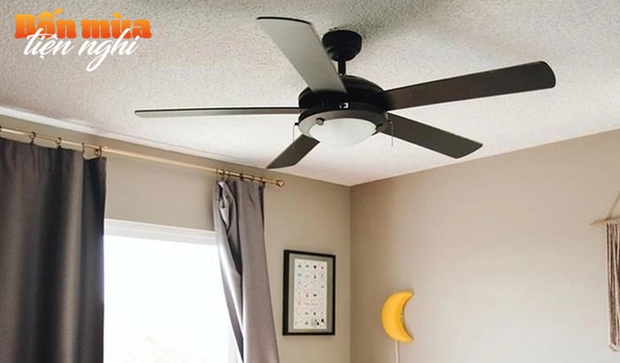 Choosing the right fan for summer: floor fan or ceiling fan? One detail that will make the decision.