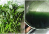Safe Ways to Identify and Consume Vietnamese Water Spinach