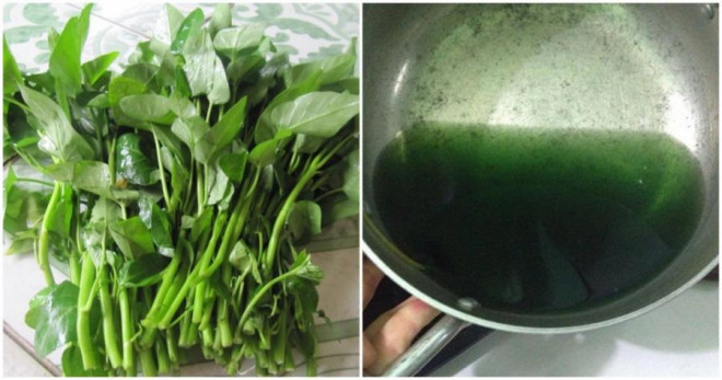 Safe Ways to Identify and Consume Vietnamese Water Spinach