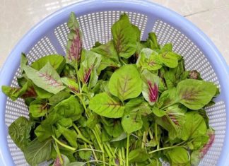 The Ultimate Guide to Keeping Vegetables Fresh for a Whole Month, Preserving Nutrients