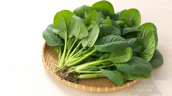 7 types of vegetables that get more calcium when cooked thoroughly: Growing taller, 1m80 is just a “small matter”