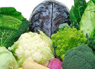 Affordable and Delicious Types of Leafy Greens that are Exceptionally Good at Fighting Cancer – Women Should Eat More