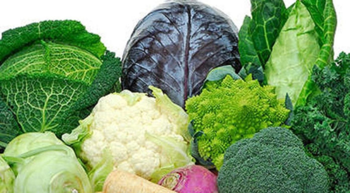 Affordable and Delicious Types of Leafy Greens that are Exceptionally Good at Fighting Cancer – Women Should Eat More