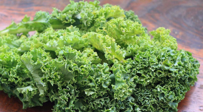 4 Types of Vegetables with More Calcium Than Eggs, Richer in Protein Than Meat, Cheaper than Traditional Medicinal Herbs