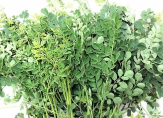 Winter Superfood: A Calcium-Rich Vegetable 17 Times More Nutritious Than Beef and Packed With More Vitamins Than Oranges