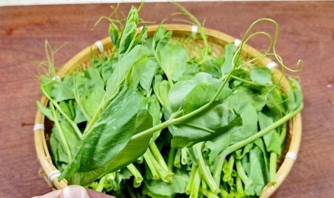 Dragon fruit cactus: Thrives in cold weather, promotes liver and kidney health.