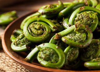 Vietnam’s Hidden Gem with the Shrimp-Shaped Curved Tree, Offering Abundant Health Benefits