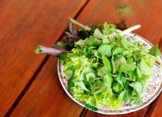 Popular Herbs and Spices that Enhance Flavor and Boost Immunity, Helping to Prevent Illness, Remember to Buy Daily