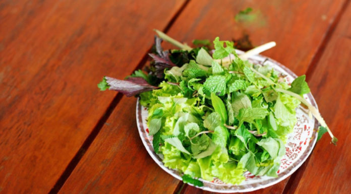 Popular Herbs and Spices that Enhance Flavor and Boost Immunity, Helping to Prevent Illness, Remember to Buy Daily