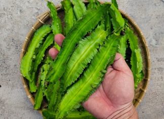 8 Calcium-Rich Vegetables that Surpass Milk