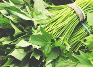 Magical cancer-fighting vegetable that Japanese people are hunting for, Vietnam is selling like crazy at the market