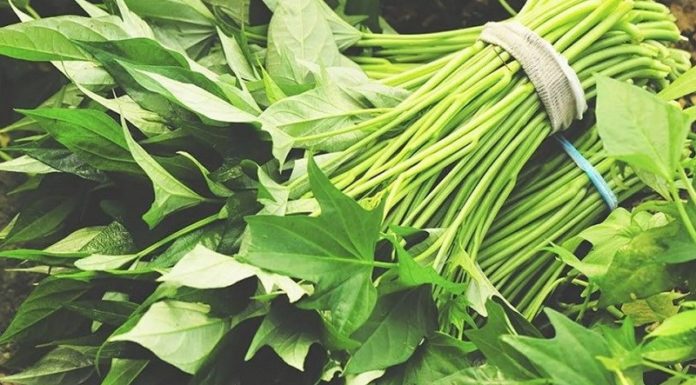 Magical cancer-fighting vegetable that Japanese people are hunting for, Vietnam is selling like crazy at the market