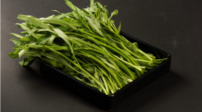 Vegetables in Vietnam are incredibly affordable and abundant, with prices as low as 360,000 VND/kg compared to the high cost of meat in the US.