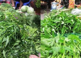 The Amazing Dish with Water Spinach: Why is it Banned in the US? Are They Harmful?