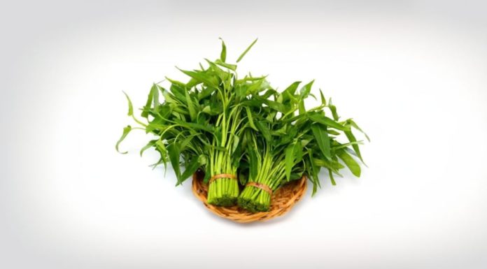 Delicious and Versatile Water Spinach: Beware of Excessive Consumption, It Can Be Harmful to Your Health