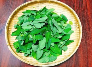 People who should not eat spinach