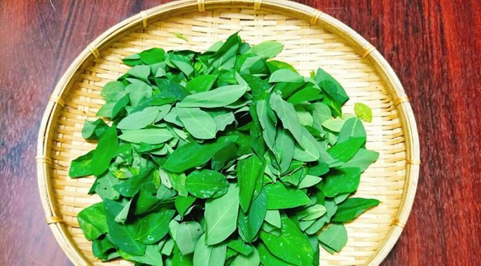 People who should not eat spinach