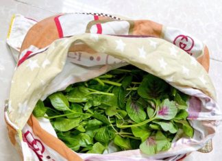 How to keep vegetables fresh and delicious for a whole month?