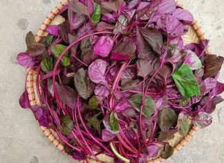 “Superfood Spinach: A Folate Powerhouse with 46 Times More Folic Acid Than Cucumbers, Delicious in Stir-Fries and Soups”