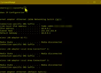Guide to Refreshing and Resetting IP Address Using the ipconfig Command