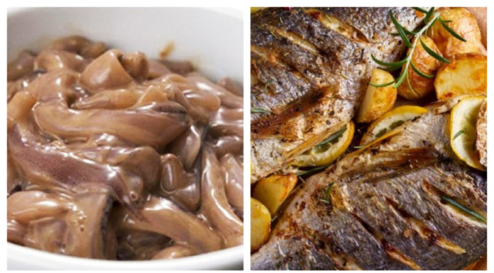 7 Common Mistakes When Eating Genetically Modified Fish: Especially the Second One that Many People Fall into