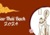 Thai Bach Cleans House in 2024: These Dark Ages Won’t Stick Around without a Dollar