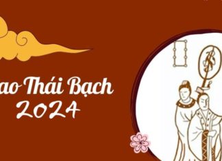 Thai Bach Cleans House in 2024: These Dark Ages Won’t Stick Around without a Dollar