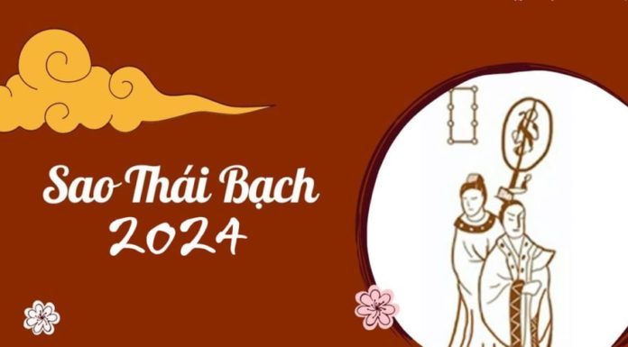 Thai Bach Cleans House in 2024: These Dark Ages Won’t Stick Around without a Dollar