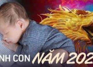 Parents born in the Giap Thin year of 2024 bring great luck and fortune to the family