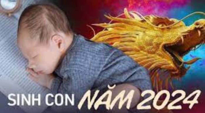 Parents born in the Giap Thin year of 2024 bring great luck and fortune to the family