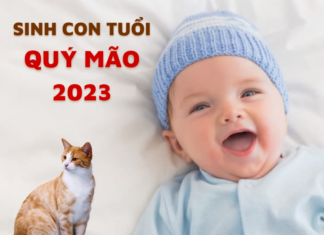 Lucky Births in the Year of the Rabbit 2023: 3 Auspicious Months for Fertility and Blessings for the Whole Family