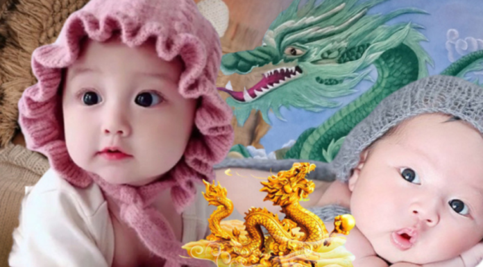 Best Month to Have a Baby in 2024: Ensuring Your Child Grows Up Intelligent and Exceptional, Thanks to You