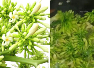 Delicious recipes using male papaya flowers without the bitterness