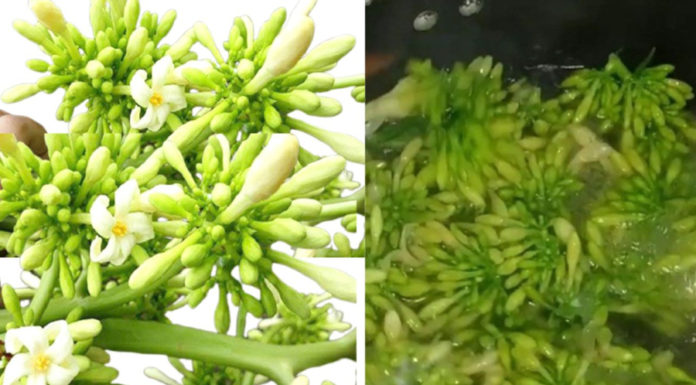 Delicious recipes using male papaya flowers without the bitterness