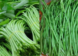 2 Delicious and Refreshing Ways to Cook Morning Glory with Pickled Salt, Adding Variety to Your Family Meals