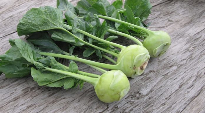 The versatile benefits of parsnips and their potential harm when consumed by certain individuals