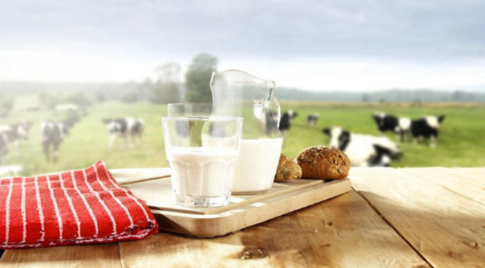 Don’t Waste Expired Milk, Utilize This Method to Bring Many Benefits and Save Money