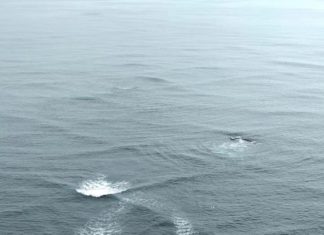 Never swim in the sea if you see ‘square waves’ as it is extremely dangerous.