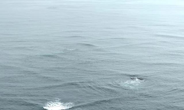 Never swim in the sea if you see ‘square waves’ as it is extremely dangerous.